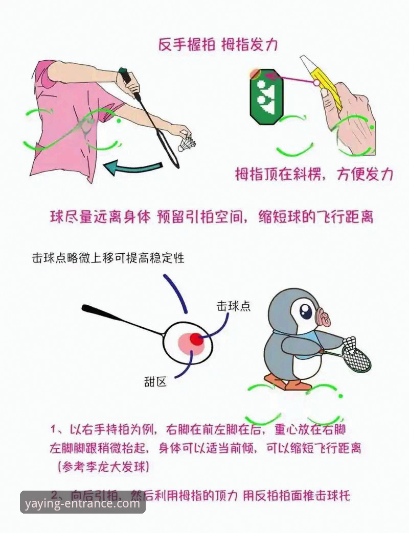 揭秘亚盈体育使用教程：新手入门背后的真相与完整操作指南